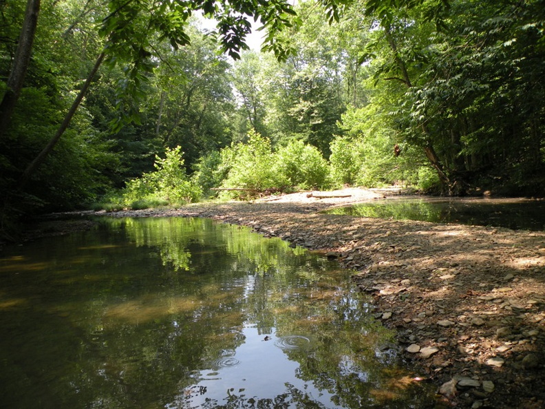 Gladie Creek, Red River Gorge